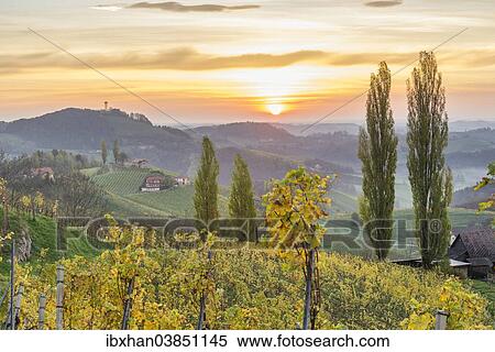 "Sunrise over autumnal vineyards, Ratsch an der Weinstrasse, Styria, Austria, Europe" View Large Photo Image Stock Photography - "Sunrise over autumnal vineyards, Ratsch an der Weinstrasse, Styria, Austria, Europe". Fotosearch