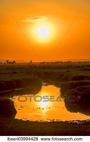 "Sunrise with reflections in a lake, Maasai Mara National Reserve, Kenya, Africa" View Large Photo Image Stock Photo - "Sunrise with reflections in a lake, Maasai Mara National Reserve, Kenya, Africa". Fotosearch
