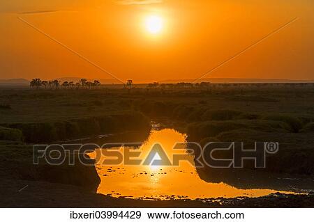 "Sunrise with reflections in a lake, Maasai Mara National Reserve, Kenya, Africa" View Large Photo Image Stock Photo - "Sunrise with reflections in a lake, Maasai Mara National Reserve, Kenya, Africa". Fotosearch