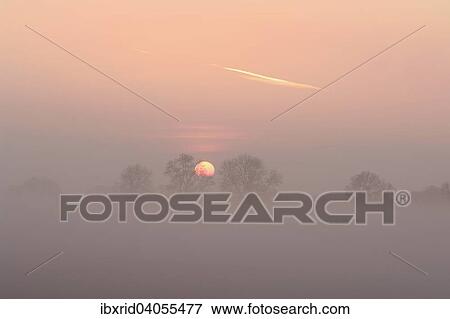 "Sunrise with trees and fog, Rheinberg, Niederrhein, North Rhine-Westphalia, Germany, Europe" View Large Photo Image Stock Photo - "Sunrise with trees and fog, Rheinberg, Niederrhein, North Rhine-Westphalia, Germany, Europe". Fotosearch