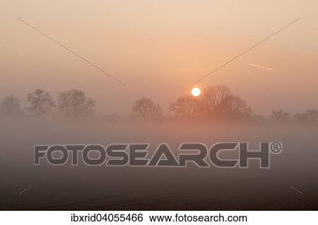 "Sunrise with trees and fog, Rheinberg, Niederrhein, North Rhine-Westphalia, Germany, Europe" View Large Photo Image Stock Photograph - "Sunrise with trees and fog, Rheinberg, Niederrhein, North Rhine-Westphalia, Germany, Europe". Fotosearch