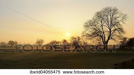 "Sunrise with trees and ground fog, Rheinberg, Niederrhein, North Rhine-Westphalia, Germany, Europe" View Large Photo Image Stock Photography - "Sunrise with trees and ground fog, Rheinberg, Niederrhein, North Rhine-Westphalia, Germany, Europe". Fotosearch