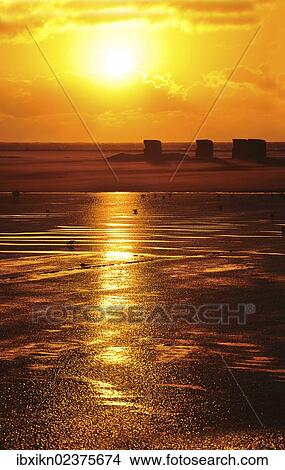 "Sunset, Amrum island, North Sea, Schleswig-Holstein, Germany, Europe" View Large Photo Image Picture - "Sunset, Amrum island, North Sea, Schleswig-Holstein, Germany, Europe". Fotosearch