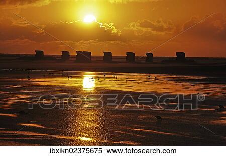 "Sunset, Amrum island, North Sea, Schleswig-Holstein, Germany, Europe" View Large Photo Image Stock Photography - "Sunset, Amrum island, North Sea, Schleswig-Holstein, Germany, Europe". Fotosearch