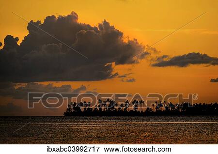 "Sunset and an island with palm trees, Sulawesi, Indonesia, Asia" View Large Photo Image Stock Photo - "Sunset and an island with palm trees, Sulawesi, Indonesia, Asia". Fotosearch
