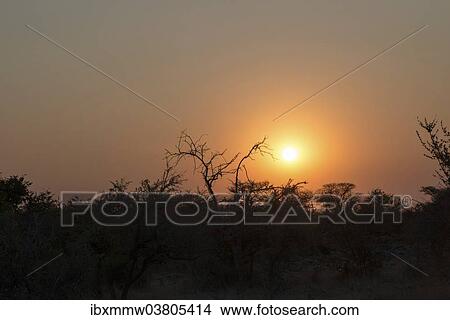 Picture - "Sunset, Etosha National Park, Namibia, Africa". Fotosearch