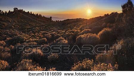 "Sunset in the Teide National Park overlooking a sea of clouds in front of La Palma, Tenerife, Canary Islands, Spain, Europe" View Large Photo Image Stock Photo - "Sunset in the Teide National Park overlooking a sea of clouds in front of La Palma, Tenerife, Canary Islands, Spain, Europe". Fotosearch