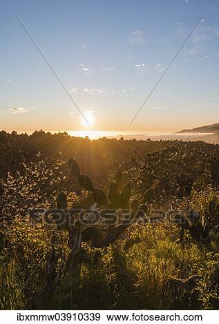 "Sunset, La Palma, Canary Islands, Spain, Europe" View Large Photo Image Stock Photo - "Sunset, La Palma, Canary Islands, Spain, Europe". Fotosearch