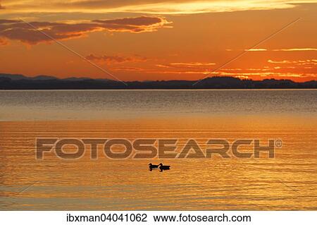"Sunset on Lake Chiemsee in Chieming, Chiemgau, Upper Bavaria, Bavaria, Germany, Europe" View Large Photo Image Stock Image - "Sunset on Lake Chiemsee in Chieming, Chiemgau, Upper Bavaria, Bavaria, Germany, Europe". Fotosearch