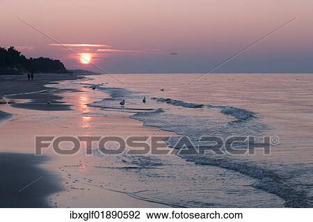 "Sunset on the Baltic coast near Rozewie, sandy beach, Pomerania, Poland, Europe" View Large Photo Image Stock Image - "Sunset on the Baltic coast near Rozewie, sandy beach, Pomerania, Poland, Europe". Fotosearch