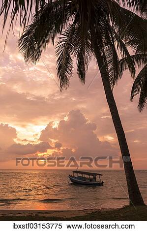 Stock Photography - "Sunset on the beach, Beruwala, Westkuste, Westprovinz, Sri Lanka, Asia". Fotosearch