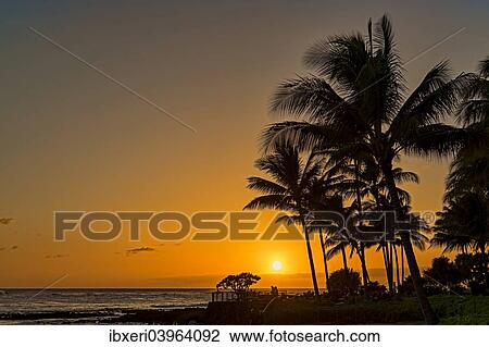 "Sunset on the beach, in Poipu, Kauai, Hawaii, United States, North America" View Large Photo Image Stock Image - "Sunset on the beach, in Poipu, Kauai, Hawaii, United States, North America". Fotosearch