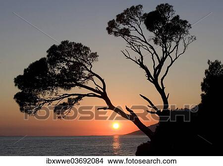"Sunset on the coast, Brela, Dalmatia, Croatia, Europe" View Large Photo Image Picture - "Sunset on the coast, Brela, Dalmatia, Croatia, Europe". Fotosearch