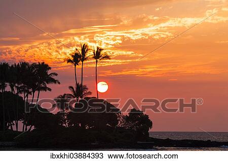 "Sunset on the Kohala Coast, Big Island, Hawaii, United States, North America" View Large Photo Image Stock Image - "Sunset on the Kohala Coast, Big Island, Hawaii, United States, North America". Fotosearch