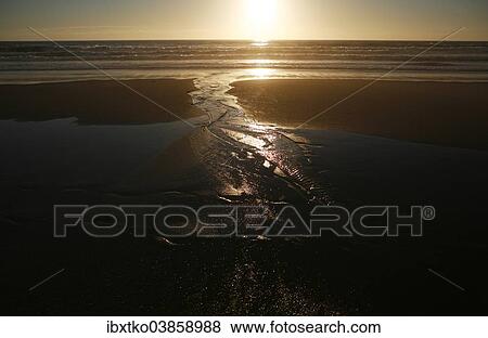 "Sunset on the Portuguese Atlantic coast, beach near Figueira da Foz, Coimbra District, Portugal, Europe" View Large Photo Image Stock Photo - "Sunset on the Portuguese Atlantic coast, beach near Figueira da Foz, Coimbra District, Portugal, Europe". Fotosearch