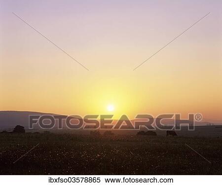 Stock Photography - "Sunset over a meadow landscape, Arnstadt, Thuringia, Germany, Europe". Fotosearch
