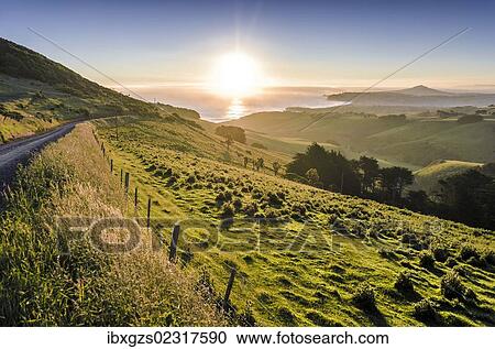 Stock Image - "Sunset over grassland and a country road, Dunedin Beach at the back, Otago Peninsula, South Island, New Zealand, Oceania". Fotosearch