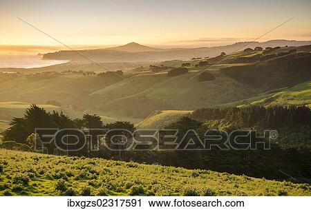 Stock Image - "Sunset over grassland, on a country road, Dunedin Beach at the back, Otago Peninsula, South Island, New Zealand, Oceania". Fotosearch
