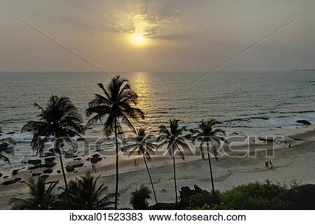 Stock Image - "Sunset with palm trees on the beach, Arambol Goa, India, Asia". Fotosearch