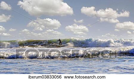 Stock Photograph - "Surfer in the surf on the Pacific beach near Cambria, California, United States, North America". Fotosearch