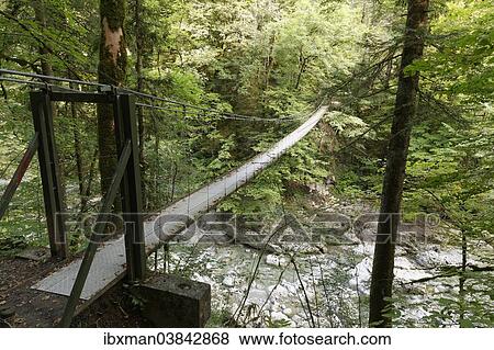 Stock Photo - "Suspension bridge across the Subersbach creek, built in 1901, Egg, Lingenau, Bregenz Forest, Vorarlberg, Austria, Europe". Fotosearch