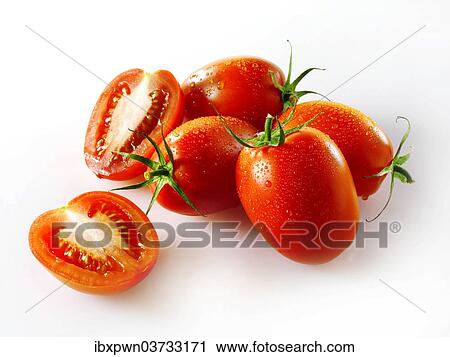 Sussex Plum tomatoes View Large Photo Image Stock Image - Sussex Plum tomatoes. Fotosearch