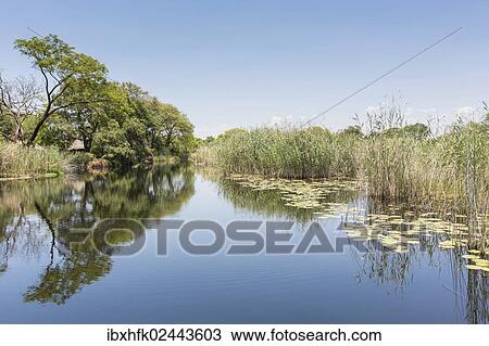 Stock Image - "Swampland on the way to Mamili National Park, Caprivi Strip, Namibia, Africa". Fotosearch