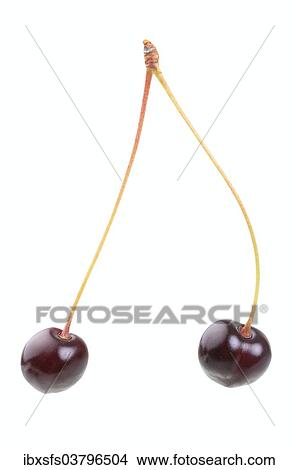 Sweet cherries of the variety Fruheste der Mark View Large Photo Image Picture - Sweet cherries of the variety Fruheste der Mark. Fotosearch