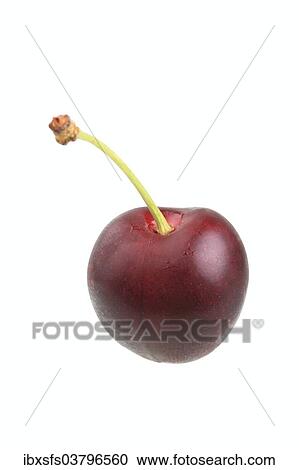 Stock Image - "Sweet cherry, Hedelfinger variety". Fotosearch