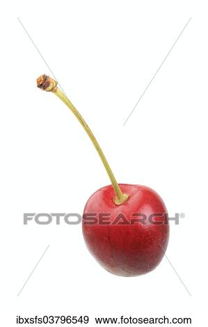 Stock Photo - Sweet cherry. Fotosearch