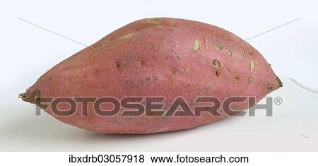 Stock Photo - Sweet potato. Fotosearch