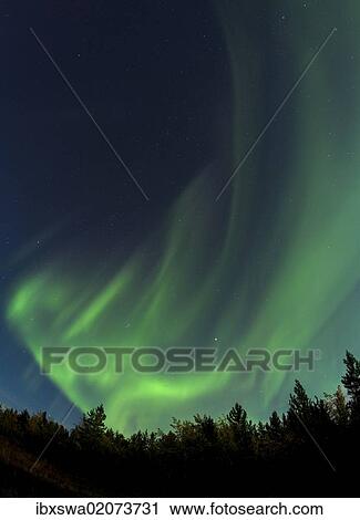 "Swirling Northern lights, Polar Aurorae, Aurora Borealis, green, near Whitehorse, Yukon Territory, Canada, North America" View Large Photo Image Stock Image - "Swirling Northern lights, Polar Aurorae, Aurora Borealis, green, near Whitehorse, Yukon Territory, Canada, North America". Fotosearch