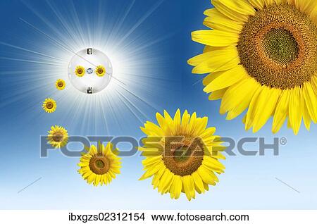 Picture - "Symbolic image for solar energy, sun flowers flying out of an electric socket with sunbeams in the sky". Fotosearch
