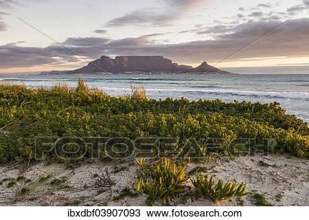 "Table Mountain, Lion's Head and Devil's Peak in the evening light, panoramic views of Cape Town, Bloubergstrand beach, Table Bay, Atlantic Ocean, Cape Town, Western Cape, South Africa, Africa" View Large Photo Image Stock Image - "Table Mountain, Lion's Head and Devil's Peak in the evening light, panoramic views of Cape Town, Bloubergstrand beach, Table Bay, Atlantic Ocean, Cape Town, Western Cape, South Africa, Africa". Fotosearch