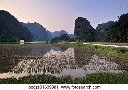 "Tam Coc region near Ninh Binh, dry Halong Bay, Vietnam, Southeast Asia, Asia" View Large Photo Image Stock Image - "Tam Coc region near Ninh Binh, dry Halong Bay, Vietnam, Southeast Asia, Asia". Fotosearch