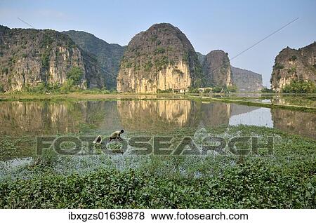 "Tam Coc region near Ninh Binh, dry Halong Bay, Vietnam, Southeast Asia, Asia" View Large Photo Image Stock Photo - "Tam Coc region near Ninh Binh, dry Halong Bay, Vietnam, Southeast Asia, Asia". Fotosearch