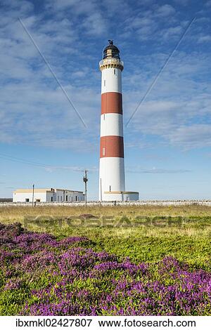 "Tarbat Ness lighthouse on the Moray Firth, Scotland, United Kingdom, Europe" View Large Photo Image Stock Photo - "Tarbat Ness lighthouse on the Moray Firth, Scotland, United Kingdom, Europe". Fotosearch