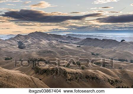 "Te Mata Peak, parched landscape, evening mood, near Hastings, Hawke's Bay, North Island, New Zealand, Oceania" View Large Photo Image Picture - "Te Mata Peak, parched landscape, evening mood, near Hastings, Hawke's Bay, North Island, New Zealand, Oceania". Fotosearch