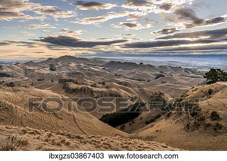 "Te Mata Peak, parched landscape, evening mood, near Hastings, Hawke's Bay, North Island, New Zealand, Oceania" View Large Photo Image Stock Image - "Te Mata Peak, parched landscape, evening mood, near Hastings, Hawke's Bay, North Island, New Zealand, Oceania". Fotosearch