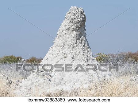 "Termite mound at the edge of the Etosha Pan, Etosha National Park, Namibia, Africa" View Large Photo Image Stock Photo - "Termite mound at the edge of the Etosha Pan, Etosha National Park, Namibia, Africa". Fotosearch