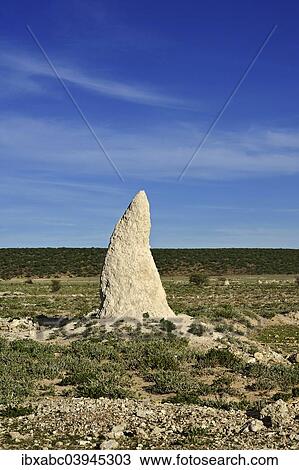 "Termite mound, Etosha National Park, Namibia, Africa" View Large Photo Image Stock Image - "Termite mound, Etosha National Park, Namibia, Africa". Fotosearch