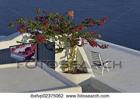 "Terrace with a view from the rim to the caldera, Oia, Santorini, Cyclades, Greek island, Greece, Europe" View Large Photo Image Stock Image - "Terrace with a view from the rim to the caldera, Oia, Santorini, Cyclades, Greek island, Greece, Europe". Fotosearch