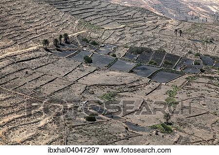 "Terraced fields, agriculture near Haria, Lanzarote, Canary Islands, Spain, Europe" View Large Photo Image Stock Photo - "Terraced fields, agriculture near Haria, Lanzarote, Canary Islands, Spain, Europe". Fotosearch