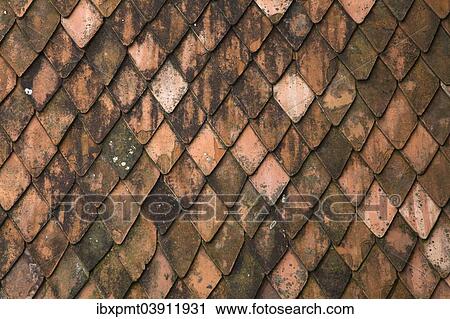 "Terracotta roof tiles, Bran Castle, Bran, Transylvania, Romania, Europe" View Large Photo Image Stock Image - "Terracotta roof tiles, Bran Castle, Bran, Transylvania, Romania, Europe". Fotosearch