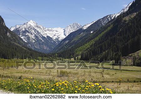 "Tettermoos in Untertal valley, Soelktaeler Nature Park, Schladming Tauern mountains, Upper Styria, Styria, Austria, Europe" View Large Photo Image Stock Image - "Tettermoos in Untertal valley, Soelktaeler Nature Park, Schladming Tauern mountains, Upper Styria, Styria, Austria, Europe". Fotosearch