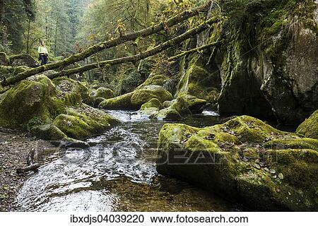 Stock Image - "Teufelskuche, Devil's Kitchen, Albtal or Alb Valley, Hotzenwald forest, near Gorwihl, Black Forest, Baden-Wurttemberg, Germany, Europe". Fotosearch