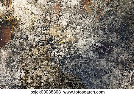 "Texture, ice covering" View Large Photo Image Stock Image - "Texture, ice covering". Fotosearch