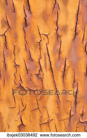 "Texture, metal with flaking paint" View Large Photo Image Stock Image - "Texture, metal with flaking paint". Fotosearch