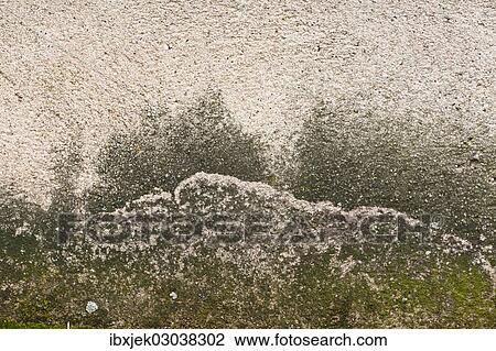 "Texture, plastered wall" View Large Photo Image Stock Image - "Texture, plastered wall". Fotosearch