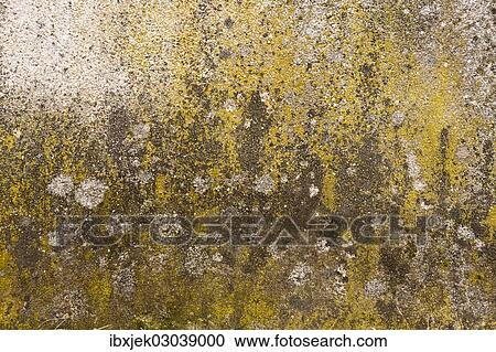 "Texture, plastered wall" View Large Photo Image Stock Image - "Texture, plastered wall". Fotosearch